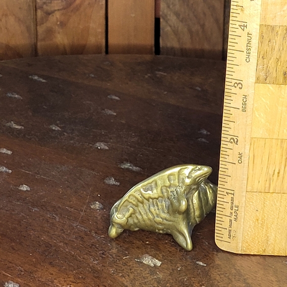 Brass Sea Shell - Picture 13 of 14